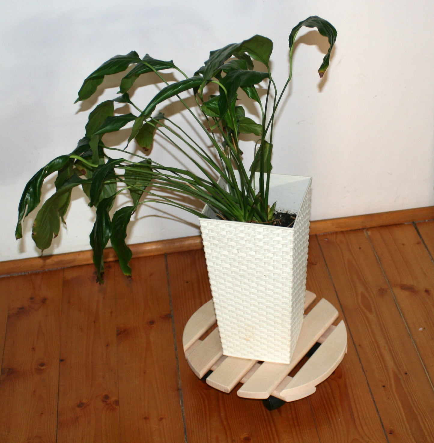 Round platform stand for flower pots on wheels | Mobile flower stand | Round platform on rollers | Transport stand for plants