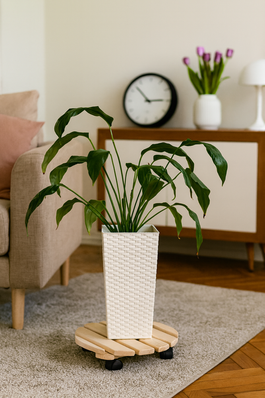 Biała doniczka z zieloną rośliną ustawiona na drewnianej podstawce na kółkach w stylowym salonie. W tle beżowa kanapa, komoda z zegarem i wazonem z tulipanami – elegancka, naturalna scena e-commerce.