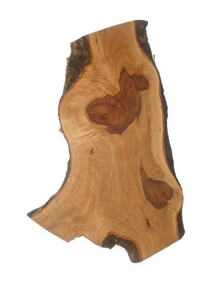 Deska z drewna jabłoniowego – unikatowa, olejowana, okorowana