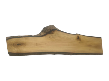 Deska z drewna orzecha włoskiego – unikatowa, olejowana, okorowana