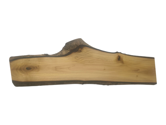 Deska z drewna orzecha włoskiego – unikatowa, olejowana, okorowana